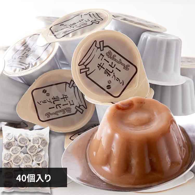 天然生活 【お徳用】ひとくちコーヒー牛乳プリン40個 SM00011016 【プラザセレクト】