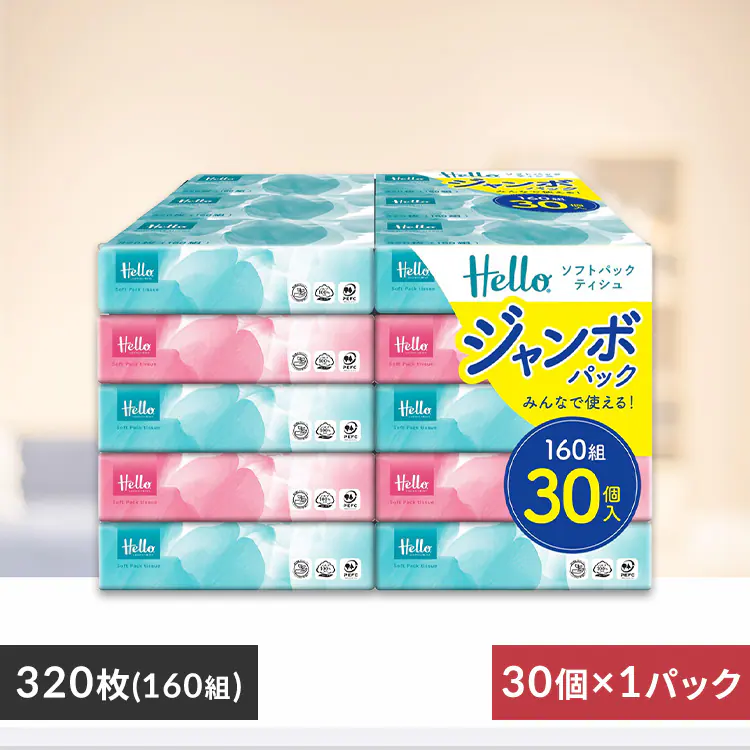 �\�t�g�p�b�N�e�B�b�V�� 160�g�~30�p�b�N