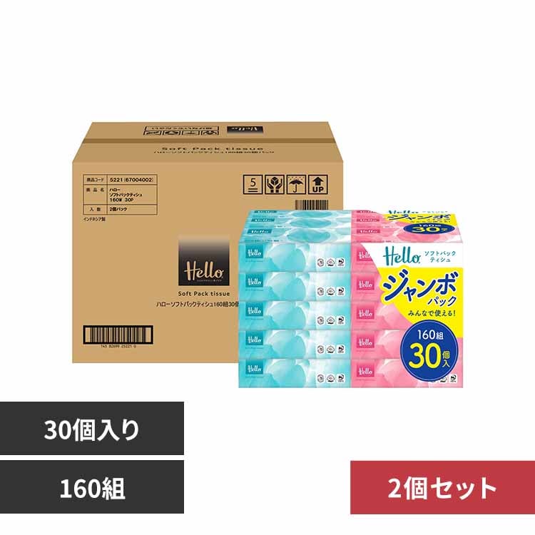 ˥С롦ڡѡ ڥۥϥ եȥѥåƥå 160 30ġ2ѥå 5221-case