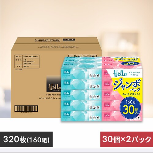 yP[X̔zn[ \tgpbNeBbV 160g 30~2pbN jo[TEy[p[ yvUZNgz_0