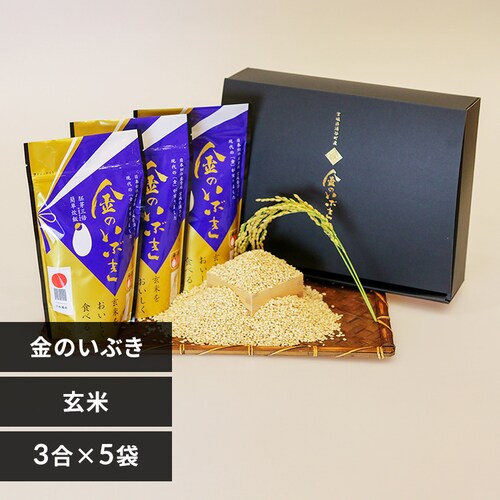 �y�O�J���z���̂��Ԃ�����3���p�b�N�~5�܃M�t�g �y�v���U�Z���N�g�z_0