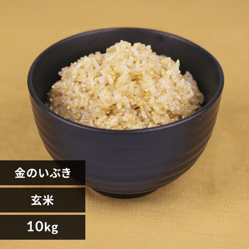 �y�O�J���z���̂��Ԃ�����10kg _0