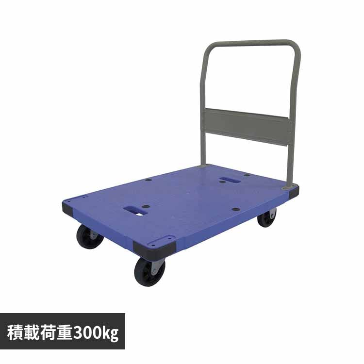 株式会社ナンシン サイレントマスター ブルー DSK-302 【プラザセレクト】