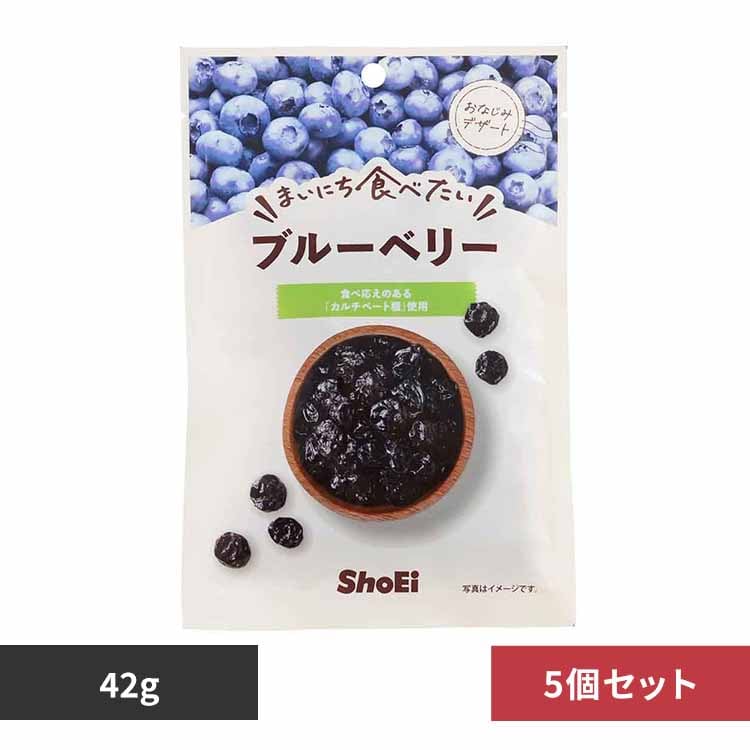 【5個】まいにち食べたい ブルーベリー 【プラザセレクト】