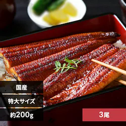 【3尾】特大鰻(約200g/尾) 【直送】