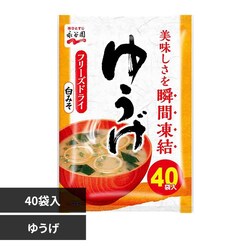 p 40H 䂤yvUZNgz