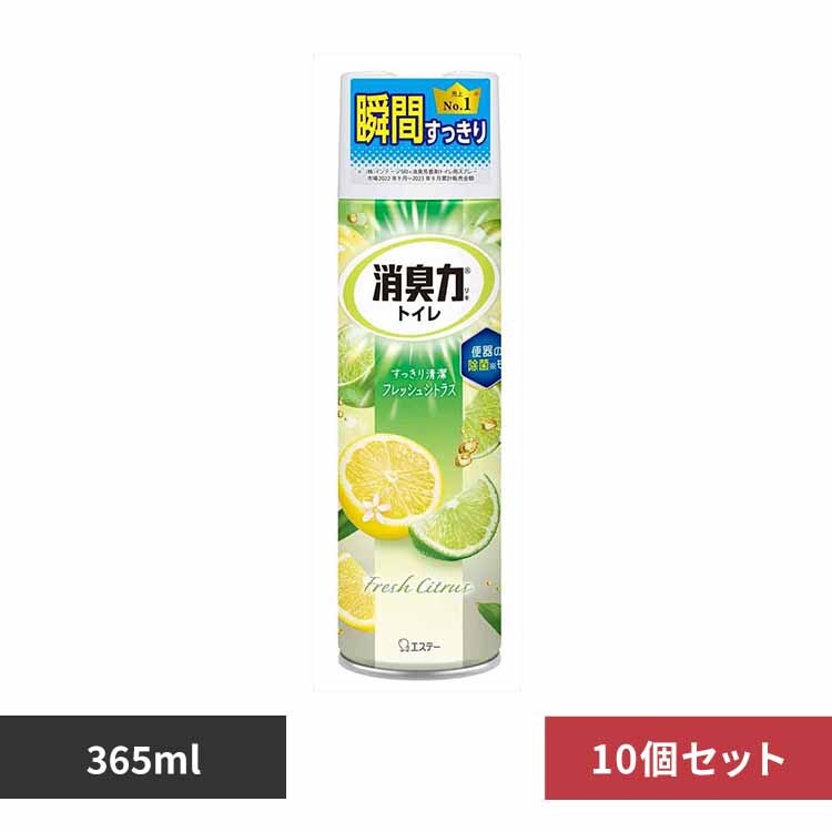 �y10�Z�b�g�z�g�C���̏��L�̓X�v���[�@�t���b�V���V�g���X 53272 �y�v���U�Z���N�g�z