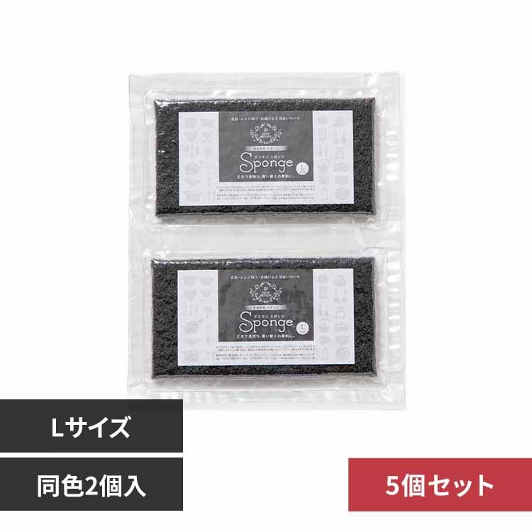 3個セット】サンサンスポンジ Lサイズ/2個入 ノーマル ブラック