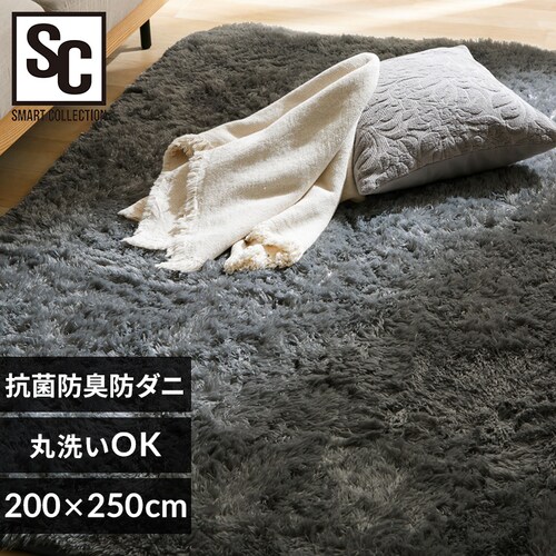 ���O �V���M�[���O �E���^������ �R�ۖh�L �h�_�j���H 200cm�~250cm �`���R�[�� SGY-2025_0