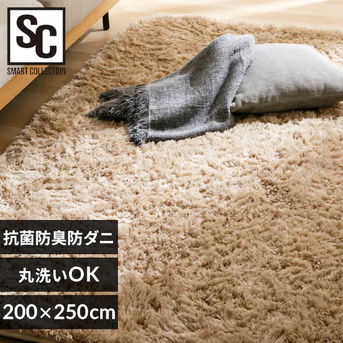 シャギーラグ 200×250 SGY-2025 ベージュ【プラザセレクト】_0