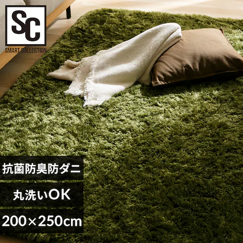 ラグ シャギーラグ ウレタン入り 抗菌防臭 防ダニ加工 200cm×250cm グリーン SGY-2025_0