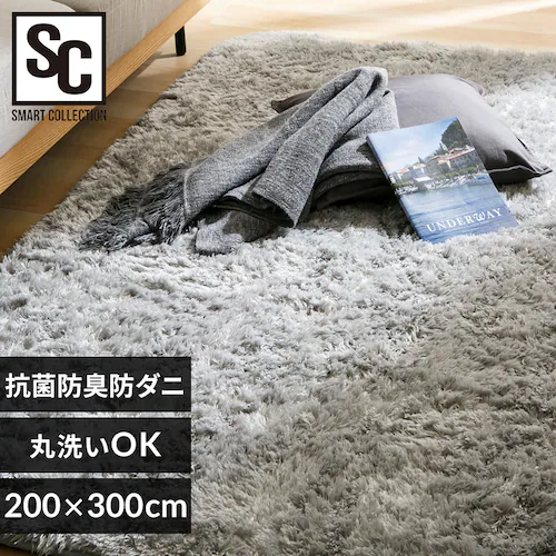 ラグ シャギーラグ ウレタン入り 抗菌防臭 防ダニ加工 200cm×300cm ライトグレー SGY-2030_0