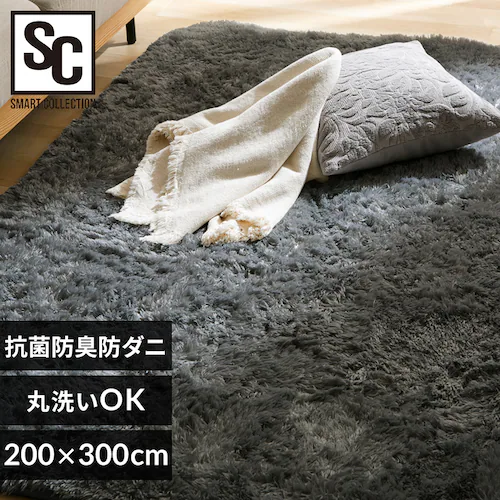 ラグ シャギーラグ ウレタン入り 抗菌防臭 防ダニ加工 200cm×300cm チャコール SGY-2030_0