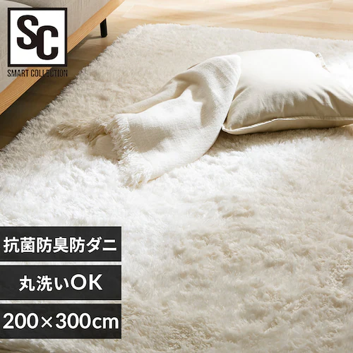 ラグ シャギーラグ ウレタン入り 抗菌防臭 防ダニ加工 200cm×300cm オフホワイト SGY-2030_0