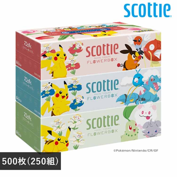 {NVA yʌizXRbeB eBV[ t[{bNX 250g 3pbN |P 41358 yvUZNgz