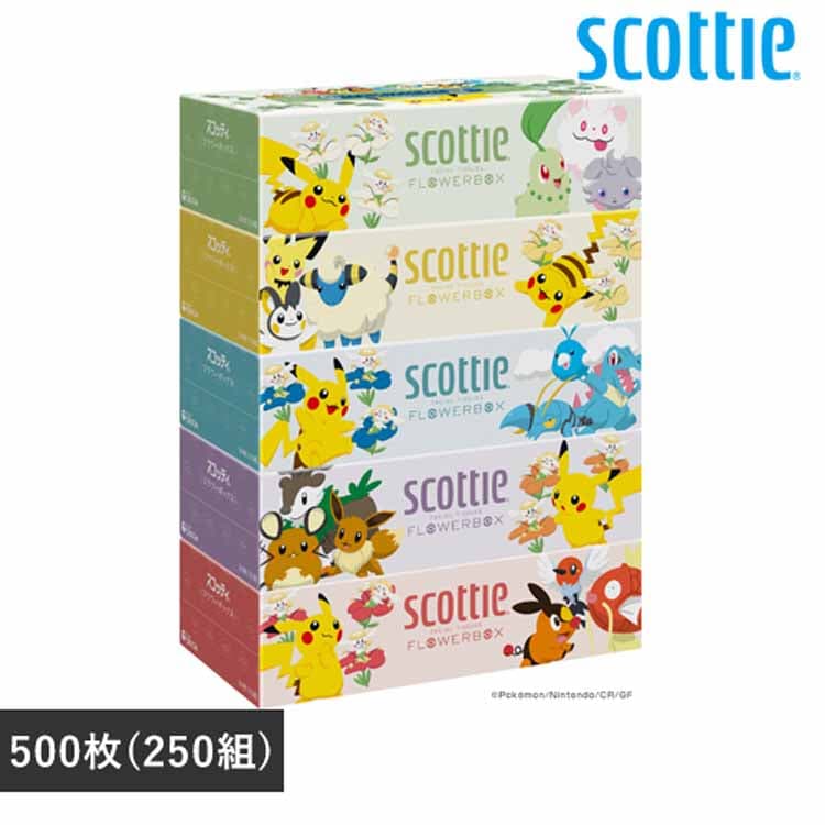 {NVA yʌizXRbeB eBV[ t[{bNX 250g 5pbN |P 41359 yvUZNgz