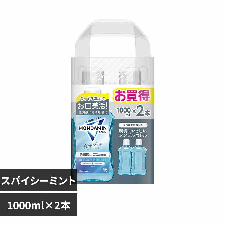 ミントくん　 ポケモンZA】ミントの場所＆種類まとめ！入手方法から使い道・おすすめ