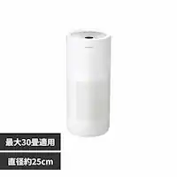 Acerpure Acerpure Pro ��C����@ 30��R���p�N�g �z���C�g AP551-50W 