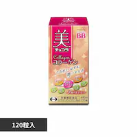 �G�[�U�C �� �`���R�� �R���[�Q�� 120�� �y�v���U�Z���N�g�z