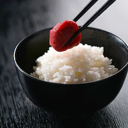 ���B���_�� �ނ����~�� 500g �y���Ԏw��s�z�y����s�z�y�����s�z�y�v���U�Z���N�g�z