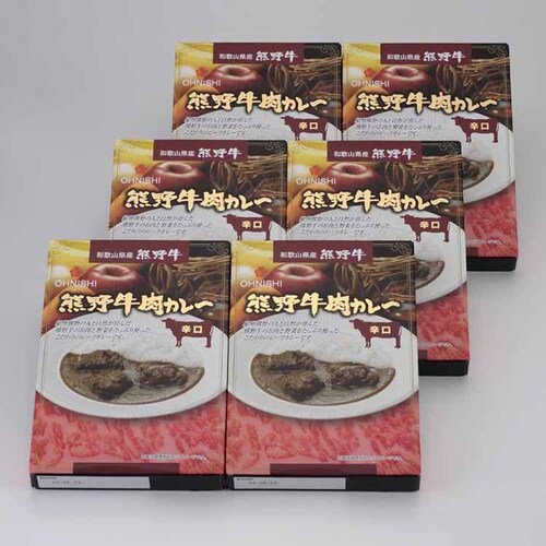 大西食品 熊野牛肉カレー 辛口 200g×6食 【時間指定不可】【代引き不可】_0