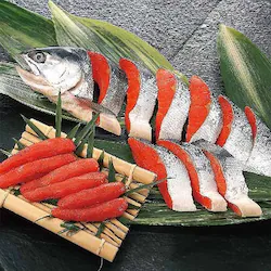 �k�c���Y �k�c���g�����g1�؁E�����炱 �y���Ԏw��s�z�y����s�z�y�����s�z�y�v���U�Z���N�g�z