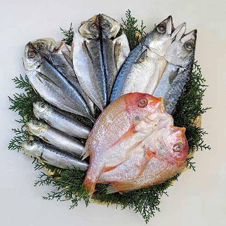 ���I�s������ ��B��銱�� 4�� �y���Ԏw��s�z�y����s�z�y�����s�z