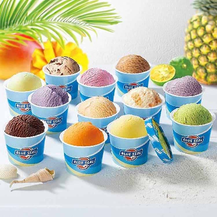 �y�Ⓚ�z�t�H�[���X�g�u���[�V�[�� �u���[�V�[�� 24�� �y���Ԏw��s�z�y����s�z�y�����s�z