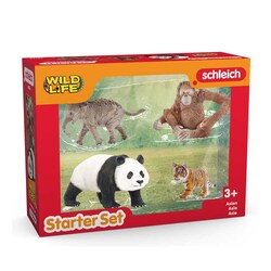 VCq ChCt AWA̖쐶Zbg 42736 yvUZNgz