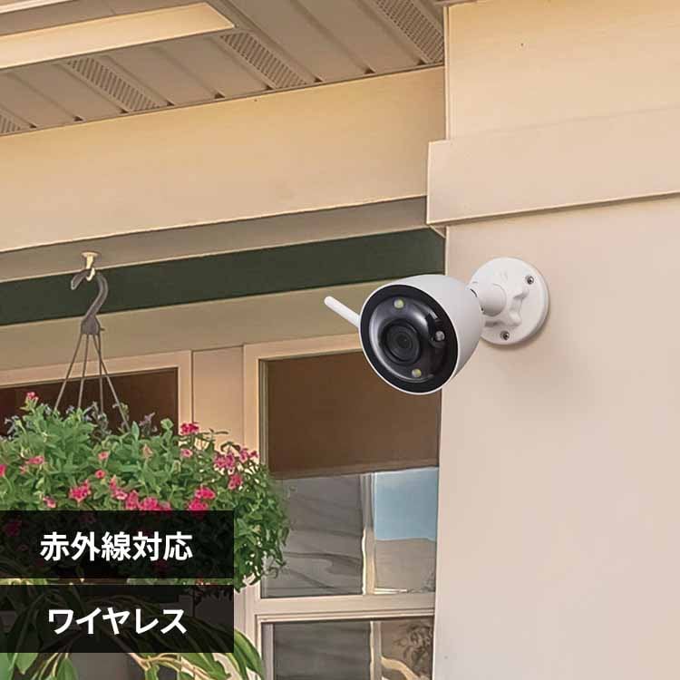 DXAei ܲڽׁiԼذށj CNW4CBFL1 yvUZNgz