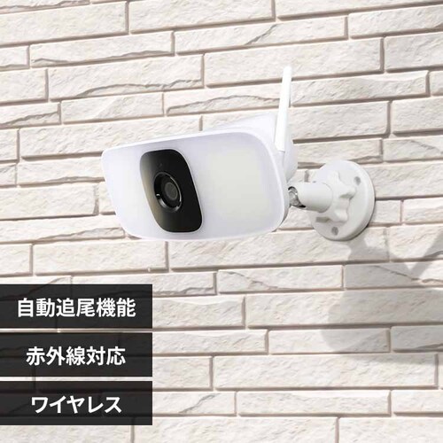 DXAei ǂCXJ CNW4CPF1 yvUZNgz_0