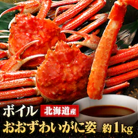 y19OFFIzkCY {C킢Ɏp 1kg (2`3)