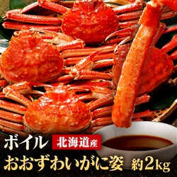 �k�C���Y �{�C���������킢���Ɏp 2kg (4�`6��)