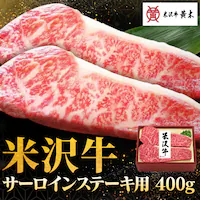 �y21��OFF�I�z�y�đ򋍉��؁z�đ� �T�[���C���X�e�[�L�p YSS115 