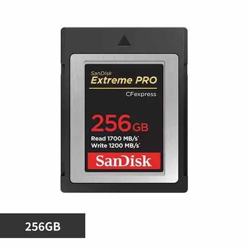 サンディスク SanDisk エクトリーム プロ CFexpress Type B カード 256GB SDCFE-256G-JN4NN 【プラザセレクト】_0
