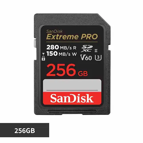 サンディスク SanDisk Extreme PRO UHS-II V60 256GB SDSDXEP-256G-JNJIP 【プラザセレクト】_0