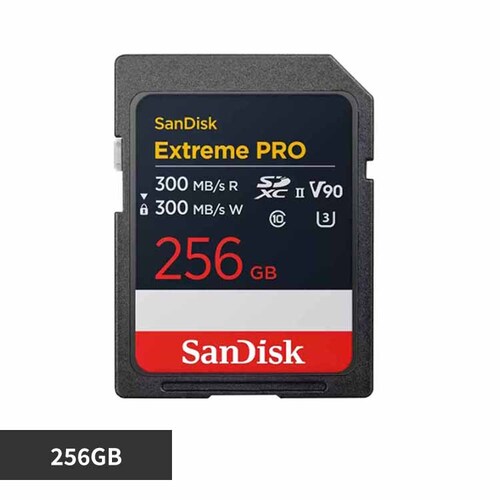 サンディスク SanDisk ExtremePro SDXC UHS-IIカード 256GB SDSDXDM-256G-JNJIP 【プラザセレクト】_0