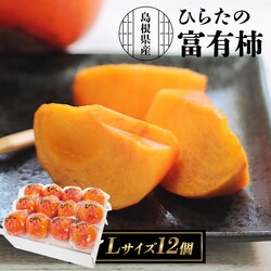 Ђ炽̕xL` 12 () FYK-C6Sy\z12{딭\