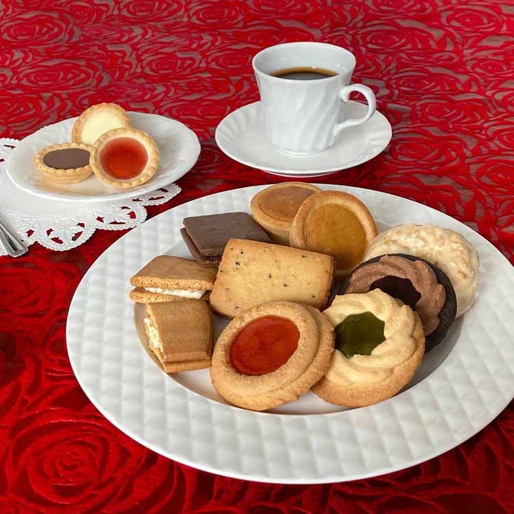【7%OFFクーポン】【中山製菓】 ガトーセック 13個 NGS-20