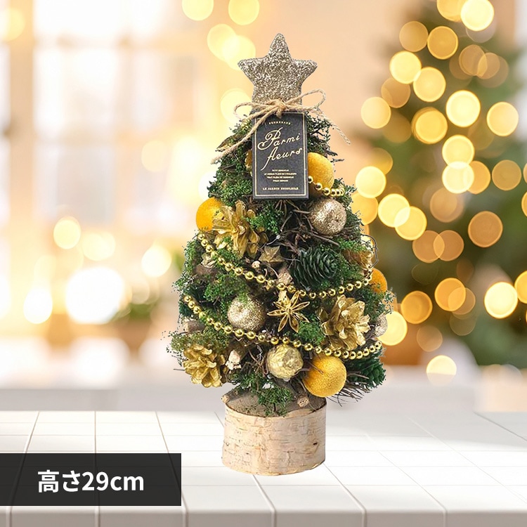 ケー・イー・アイ クリスマスナチュラルツリーオブジェ M CM1719-B