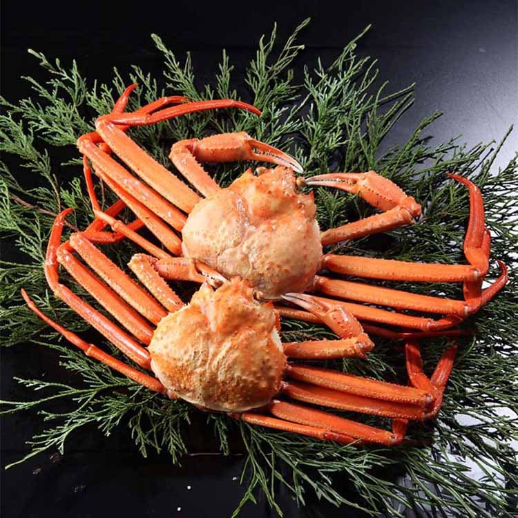 �g���킢���ɖ_�� 