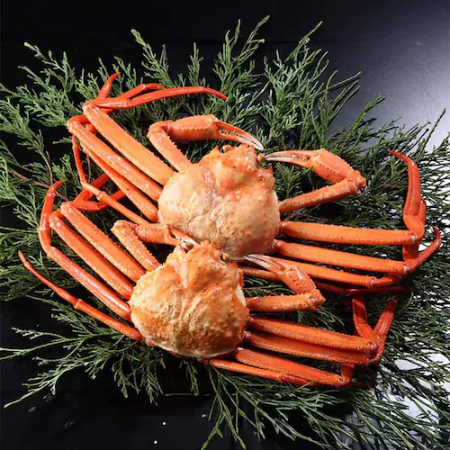 紅ずわいがに棒肉 _0