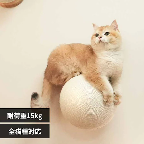 CATURN N18 �L���^�[���܌����{�[�� MZ0001 �y�v���U�Z���N�g�z_0