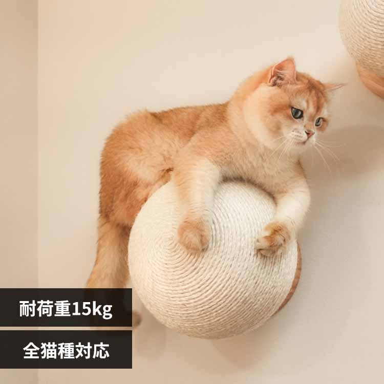 CATURN N25 �L���^�[���܌����{�[�� MZ0002 �y�v���U�Z���N�g�z