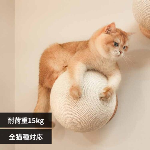 CATURN N25 �L���^�[���܌����{�[�� MZ0002 �y�v���U�Z���N�g�z_0