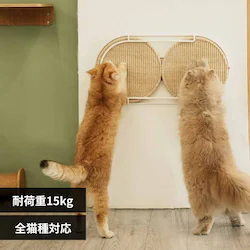 LOCUS �~�`�܌����{�[�h MZ0005 �y�v���U�Z���N�g�z