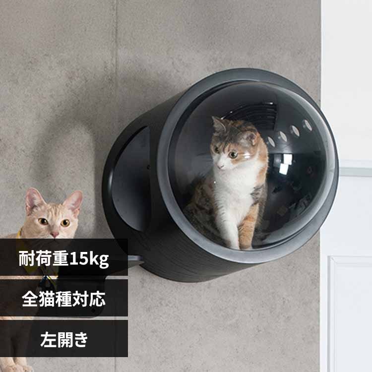 �F���DGAMMA MZ0007 �u���b�N�^�������y�v���U�Z���N�g�z