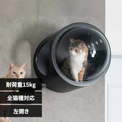 �F���DGAMMA MZ0006 �u���b�N�^�������y�v���U�Z���N�g�z