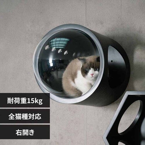 �F���DGAMMA MZ0007 �u���b�N�^�������y�v���U�Z���N�g�z_0