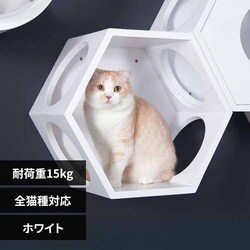 BUSYCAT�Z�p�n�E�X MZ0008 �z���C�g�y�v���U�Z���N�g�z